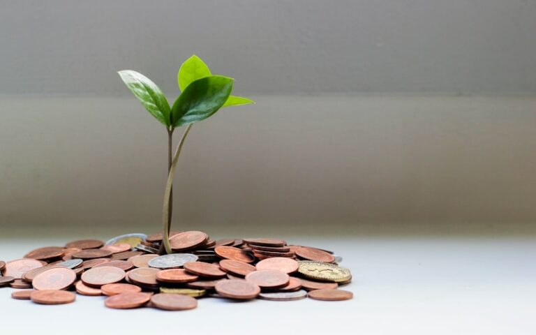 The Smart Investor’s Guide to Using Financial Comparison Portals Without Being Misled